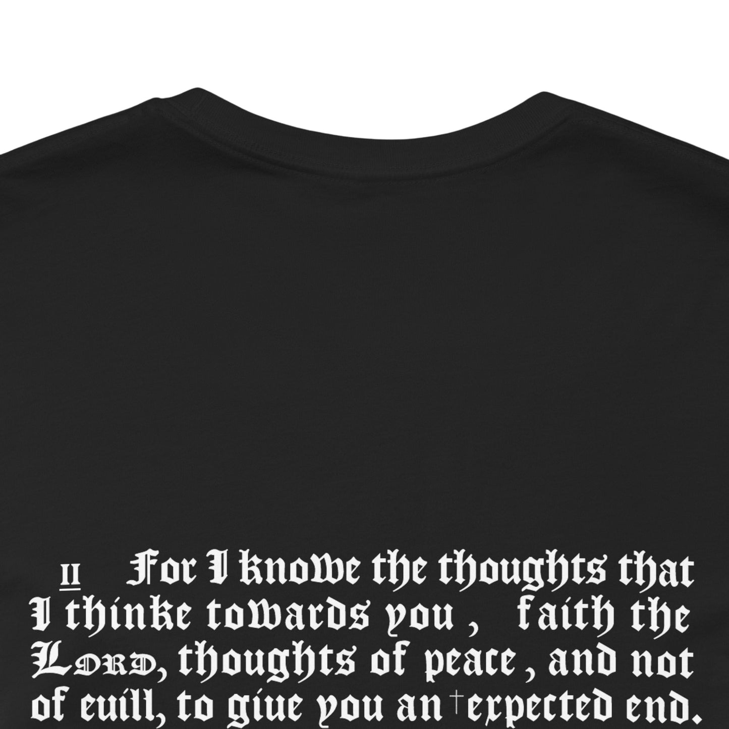 Unisex T-Shirt with 1611 King James Bible verse Jeremiah 29:11-13